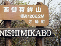 ����זg�R�R��