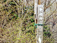 ����זg�R��