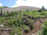 �J�����Ƃ���ɏo��