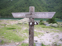 �ܐF���ɓ���