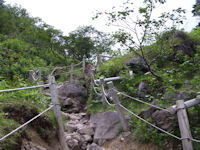 ��Ƀ��r�̂�����̓� width=